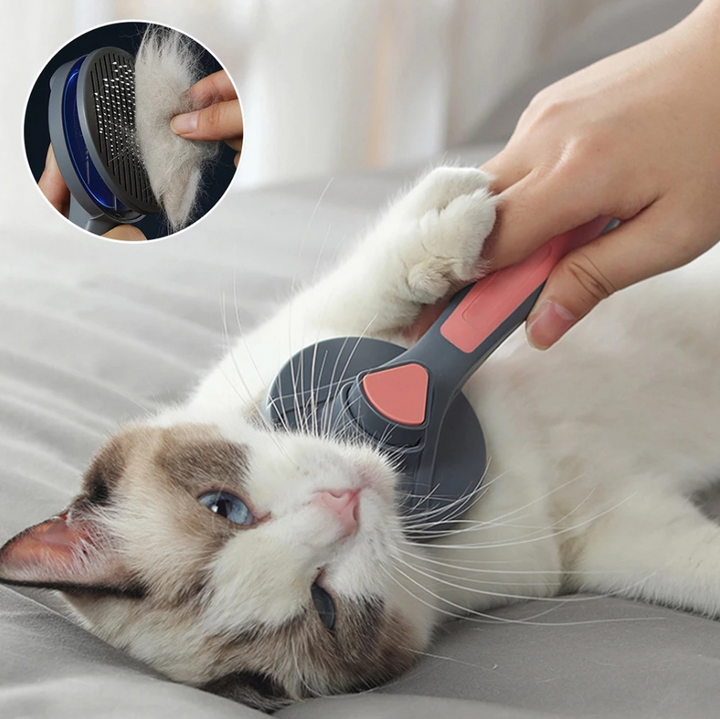 Lisslune | Hair straightener