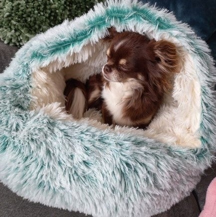 Lisslune |  Premium Pet Bed