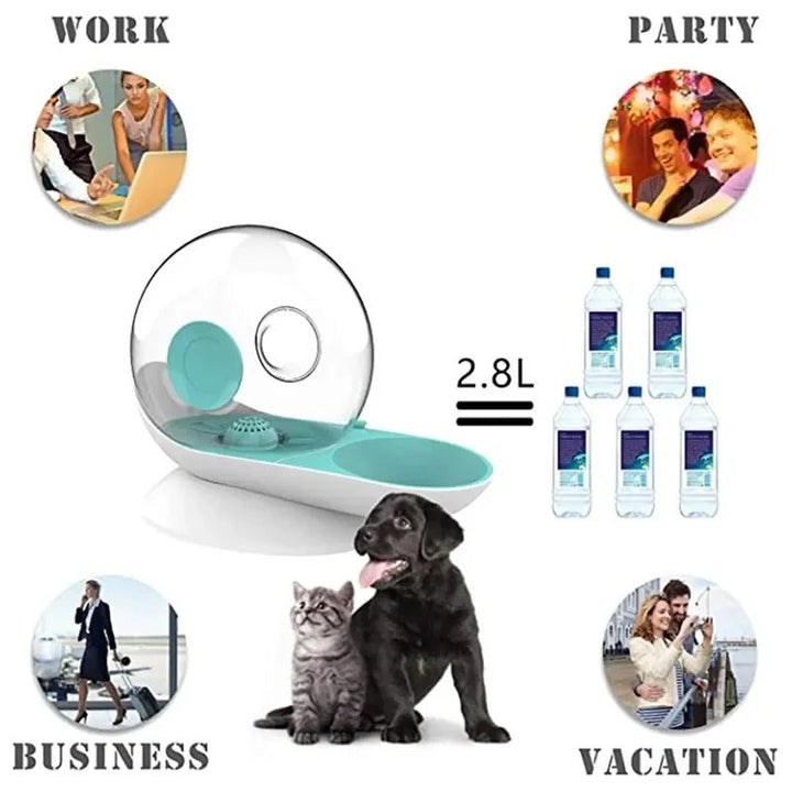Lisslune | AquaPoes Fountain – Automatic Drinking Fountain for Cats and Dogs with Stainless Steel Reservoir