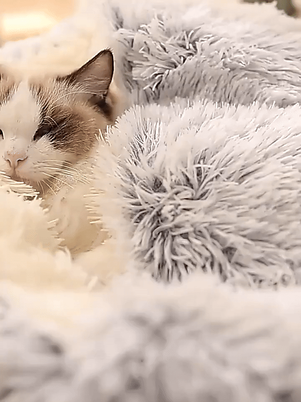 Lisslune | Cozy Cave Pet Bed | Calming & Comfortable Dog Bed for Deep Relaxation
