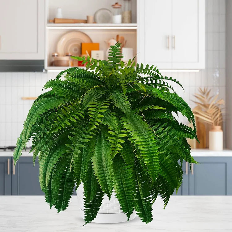 Lisslune | UV-resistant, lifelike artificial Boston fern