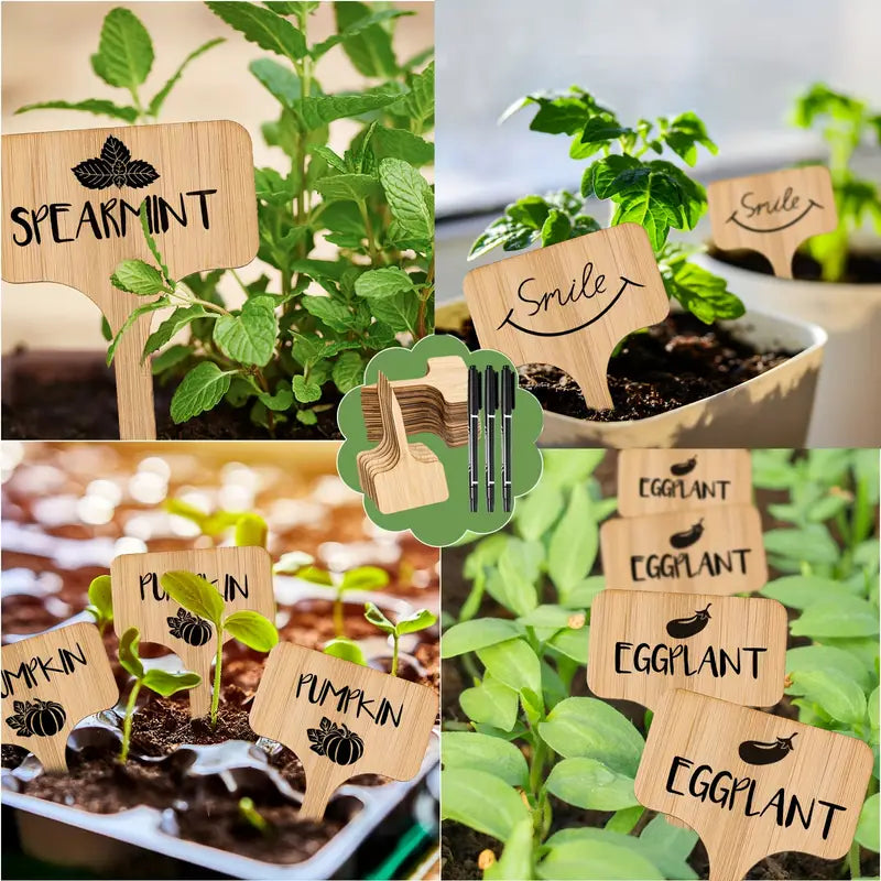 Lisslune | Plant labels made of wood for garden and balcony – Rewritable labels for herbs and plants