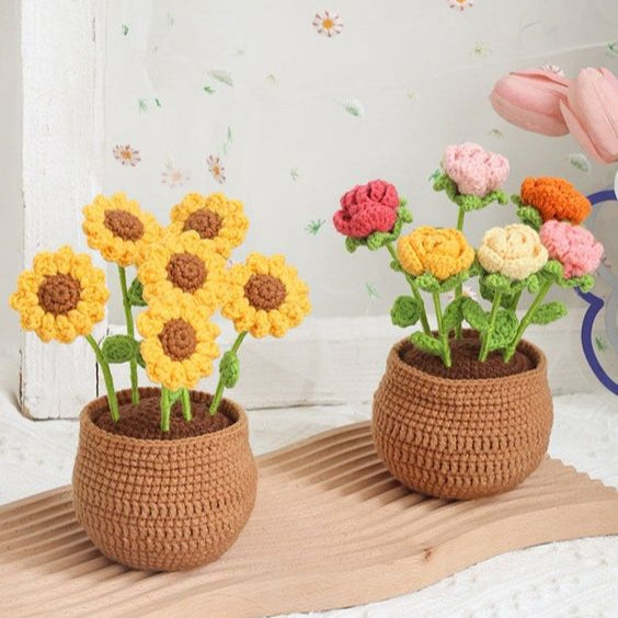 Lisslune | BloomCraft - Decorative flower pots for the elegance of your home