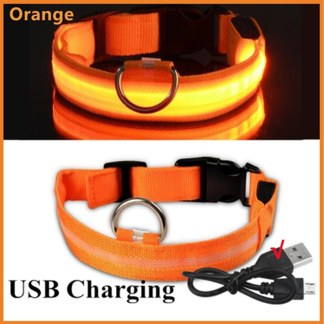 Lisslune | Luminous dog collar
