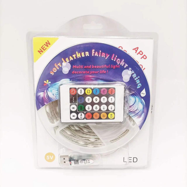 Lisslune | Smart Rainbow LED Permanent Outdoor Light