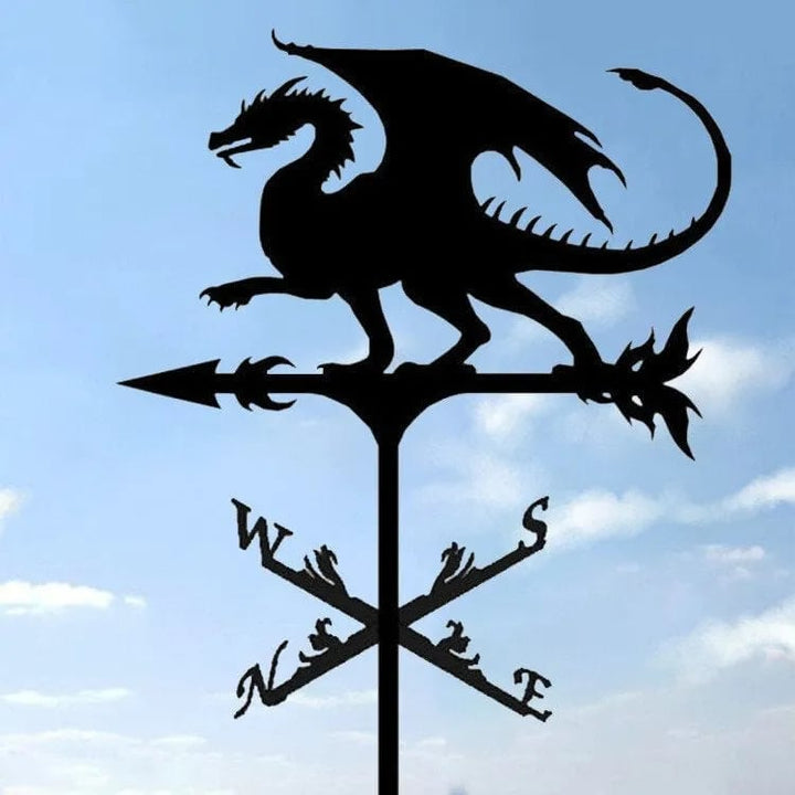 Lisslune | Stainless Steel Weather Vane!