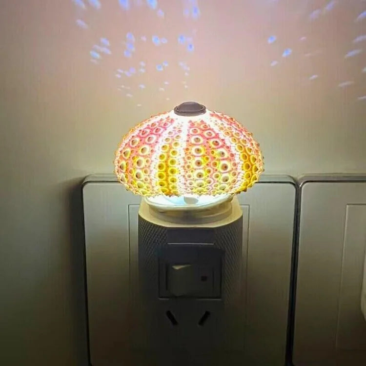 Lisslune | LumiCraft – Unique DIY table lamp with natural sea shell for a cozy décor