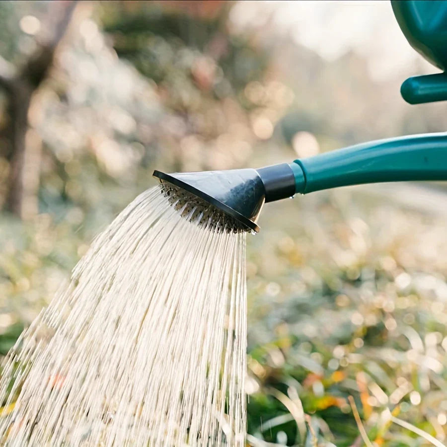 Lisslune | Watering can with large capacity and long spout for precise watering and plant care