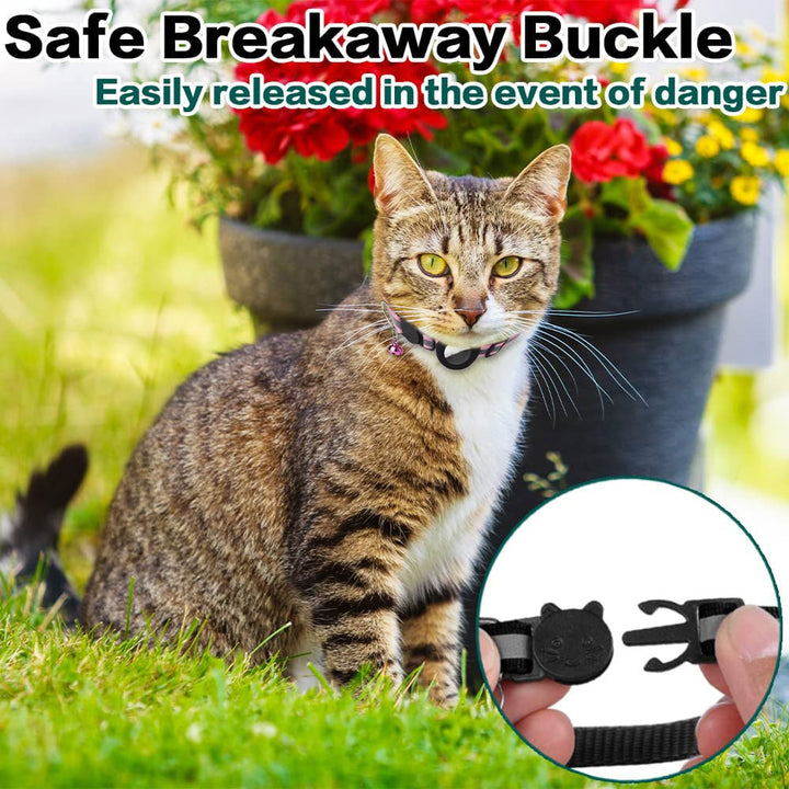 Lisslune | Stay Connected: pet locator collar