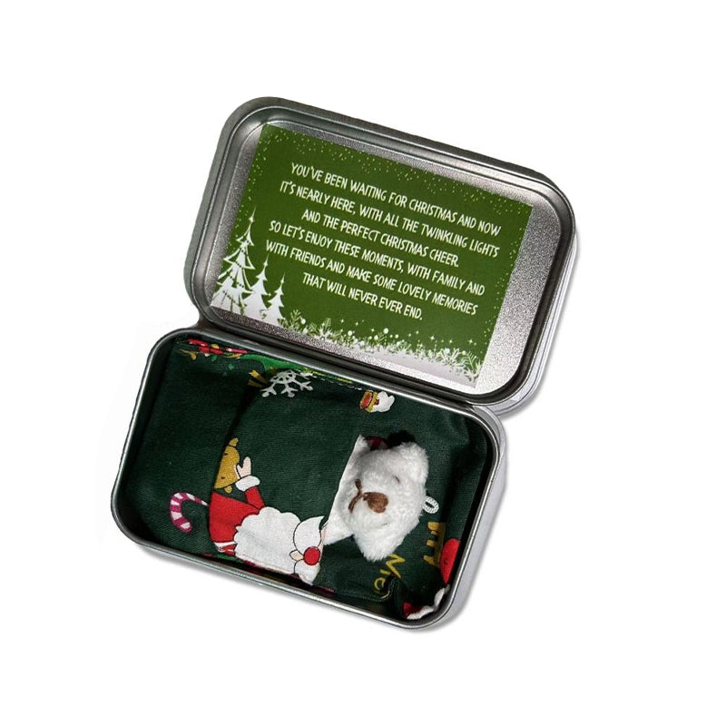 Lisslune | Teddy Bear Christmas Gift