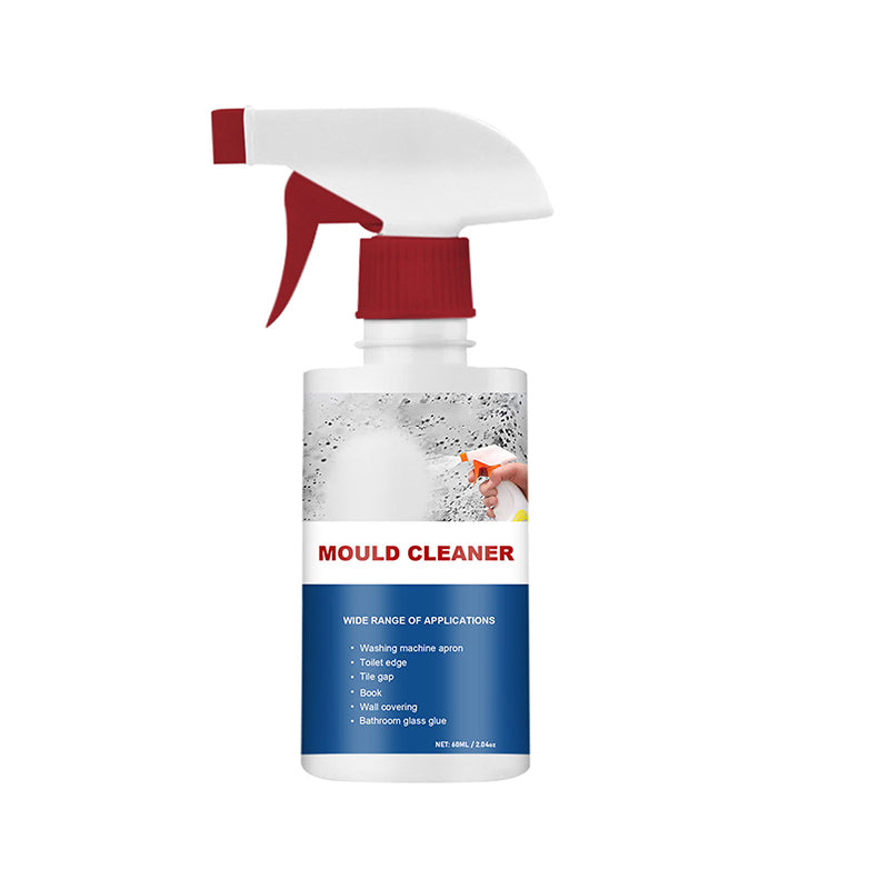Lisslune | Mold Cleaner Foam