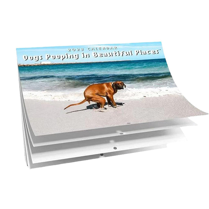 Lisslune | Pooping Pooches Dog Calendar