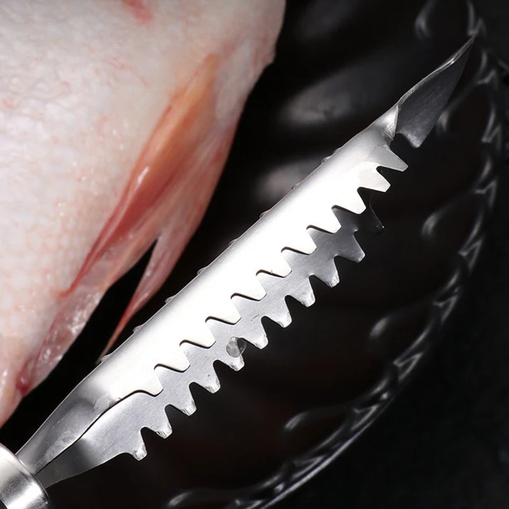Lisslune | Stainless Steel Fish Scales Remover
