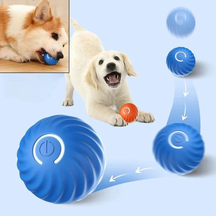 Lisslune | MAXIME PLAYER – Intelligent play ball with automatic movement for active dogs