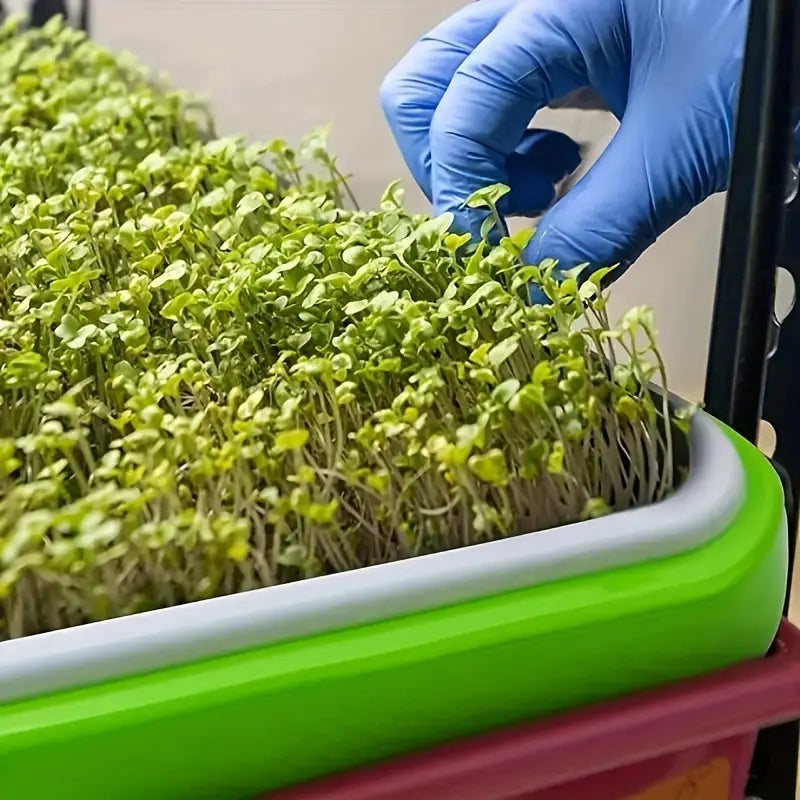 Lisslune | Germination trays with lid – Double-layer seed sowing tray for effective seed germination