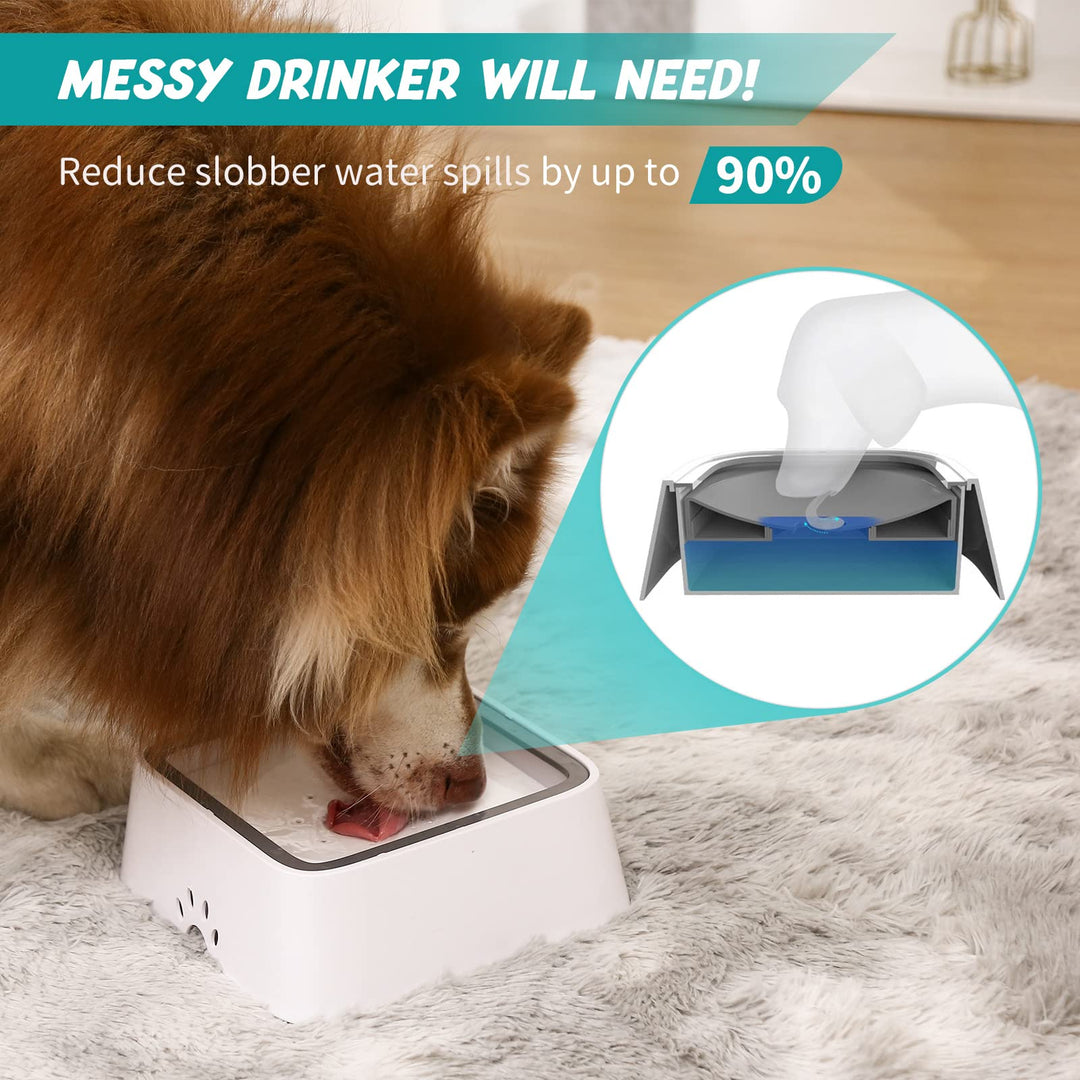Lisslune | Dry Bowl Dog Drinking