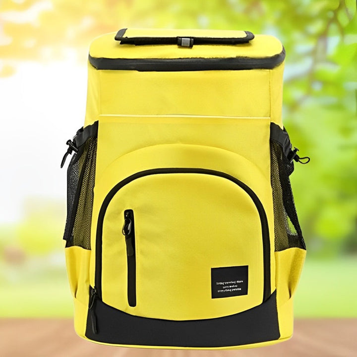 Lisslune | Insulated Backpack Cooler Bag with Large Capacity