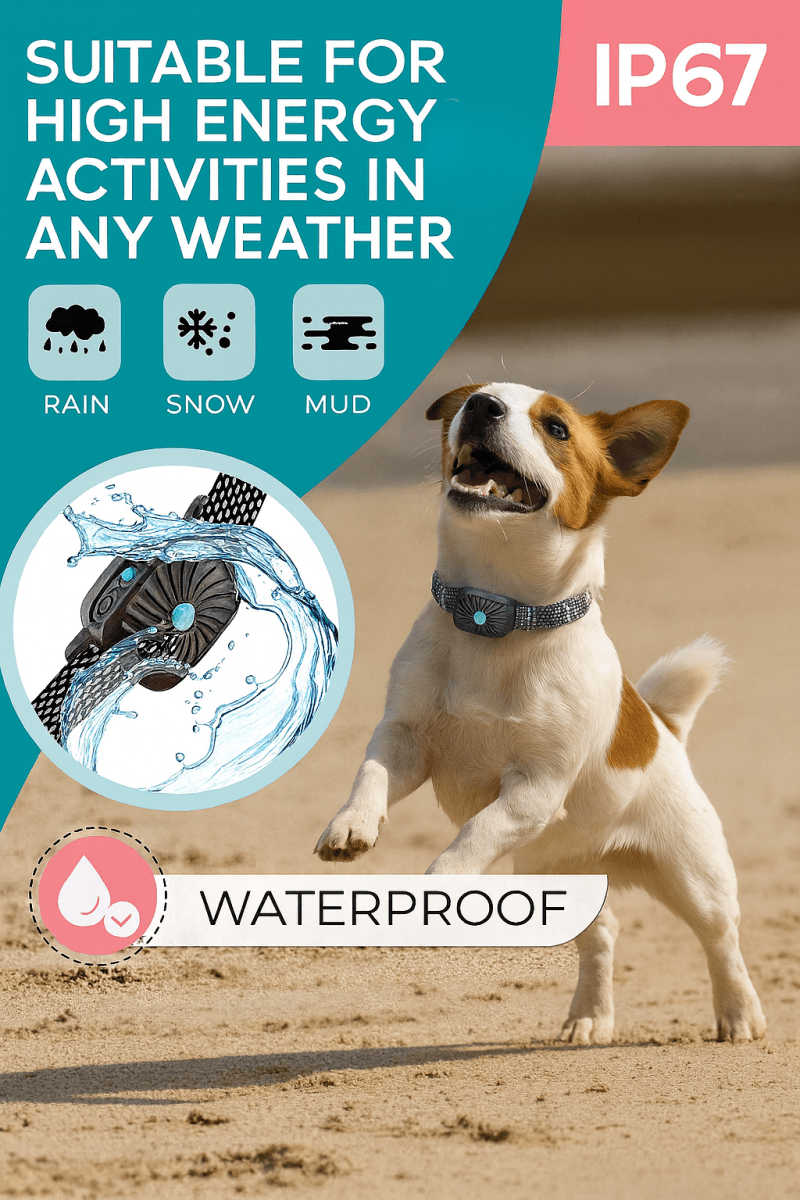 Lisslune | BarkLess Nano – Gentle Anti-Bark Collar for Puppies & Small Dogs