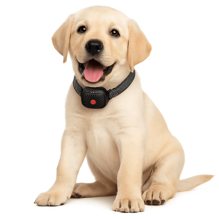 Lisslune | BarkLess Nano – Gentle Anti-Bark Collar for Puppies & Small Dogs