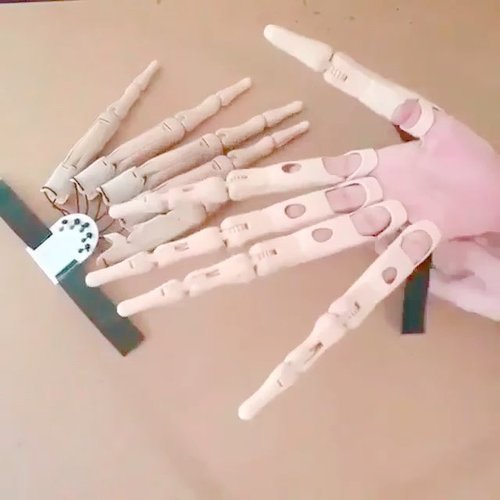 Lisslune | Halloween Articulated Finger