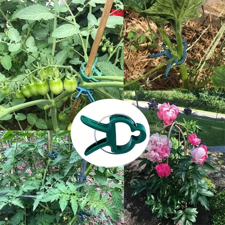 Lisslune | Garden clip set – plant loops for plant supports and garden care