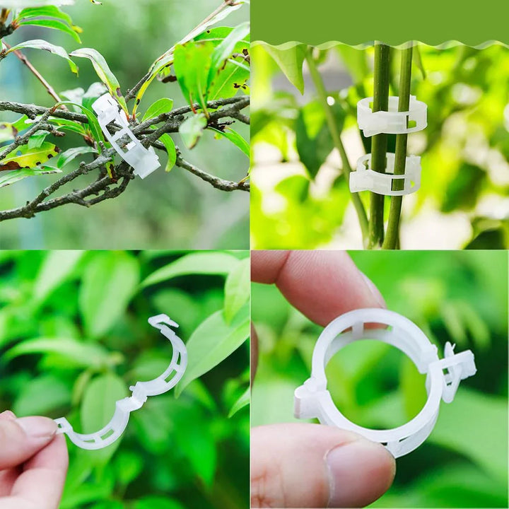 Lisslune | Plant support clip for climbing plants – Flexible holder for plant stems