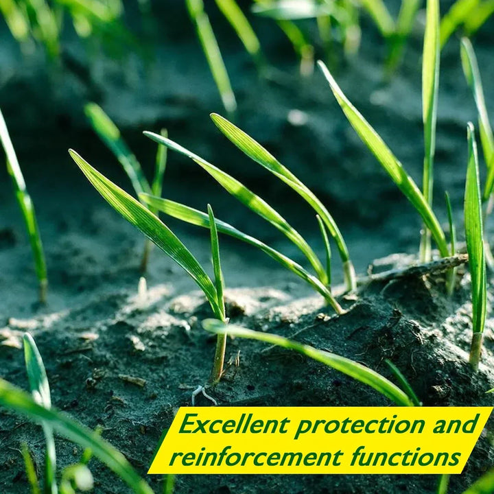 Lisslune | Biodegradable Netted Grass Seed Mat | All-in-One Growth System for Quick Germination in Sun, Shade & Slopes