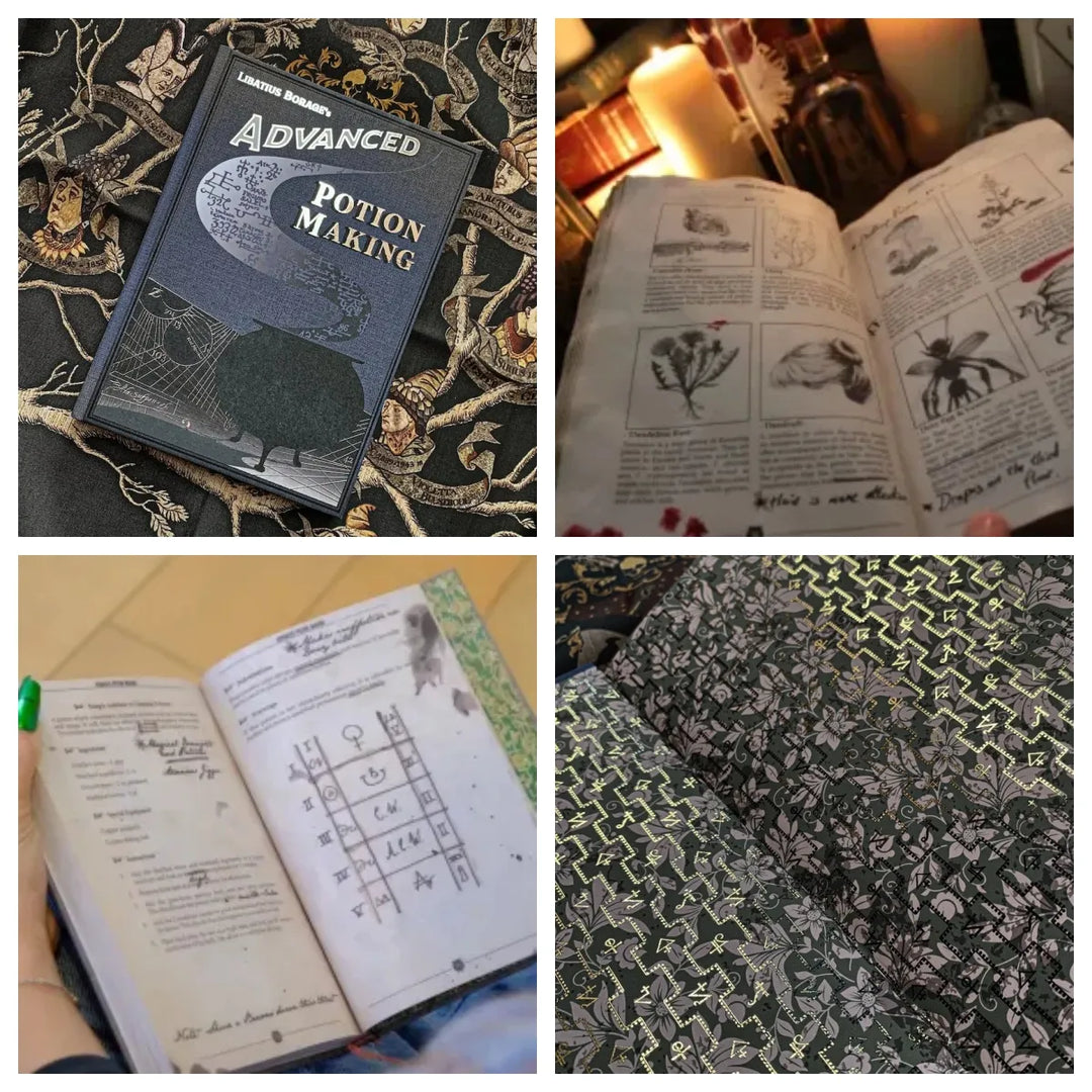Lisslune | Hogwarts Handbook Notebook Grimoire