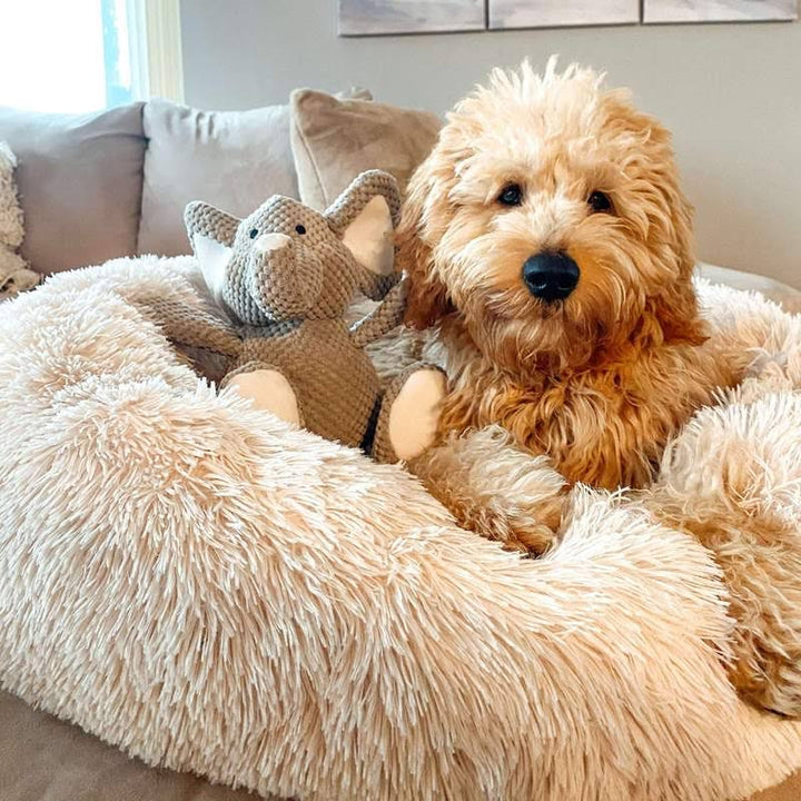 Lisslune | Calming Dog Bed