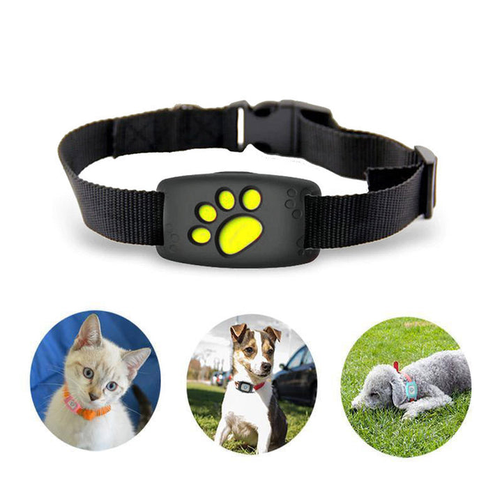 Lisslune | Pet GPS Tracker CollarCat – No Subscription and Waterproof
