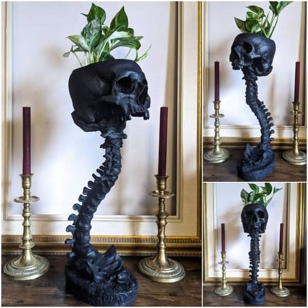 Lisslune | BoneBloom | Planter with Skull and Spine
