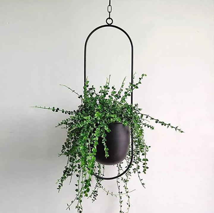 Lisslune | Stylish Indoor and Outdoor Plant Hanger - LeafLuxe