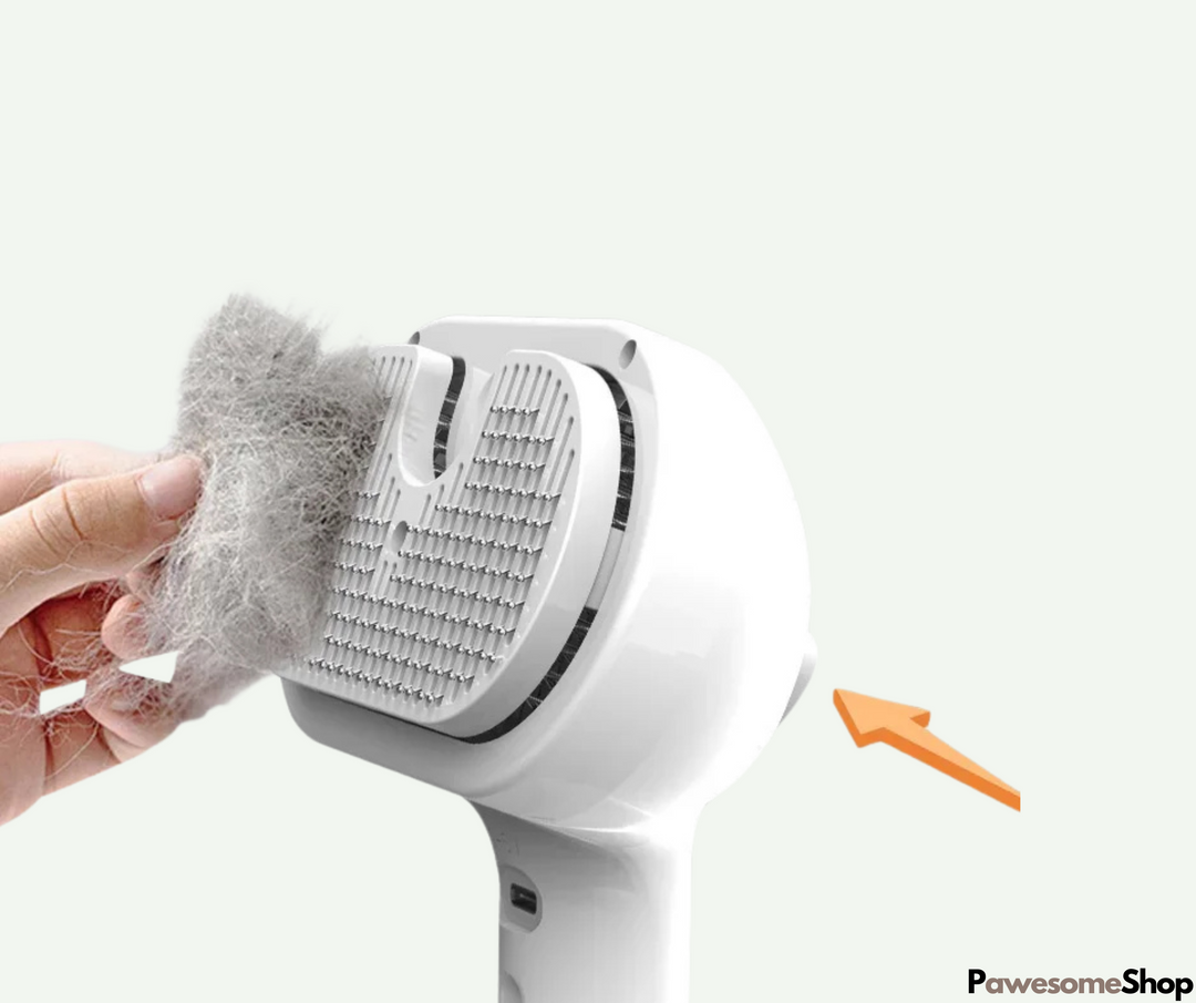 Lisslune | Steam brush for pets with steam cleaning