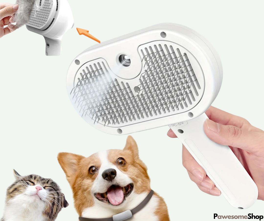 Lisslune | Steam brush for pets with steam cleaning