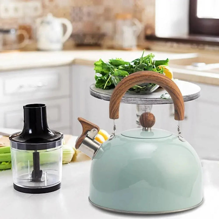 Lisslune | BOILVIA – 3L Whistling Stainless Kettle with Comfort Grip Handle