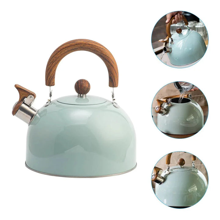 Lisslune | BOILVIA – 3L Whistling Stainless Kettle with Comfort Grip Handle