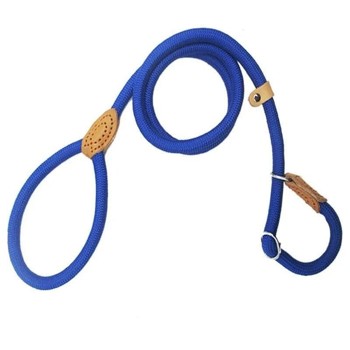 Lisslune | GUILLAUME LAISSE – Robust dog leash made of climbing rope for maximum control & safety