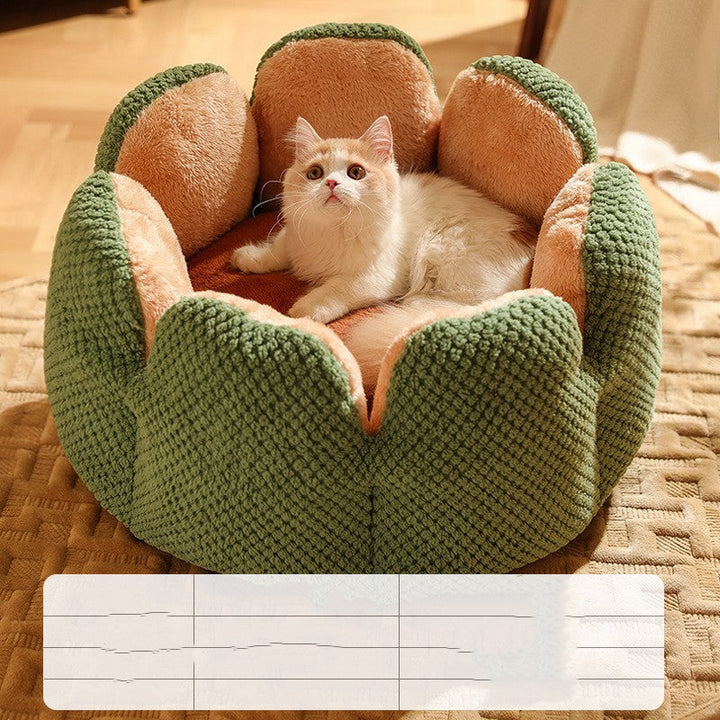 Lisslune | Warm Cactus Bed