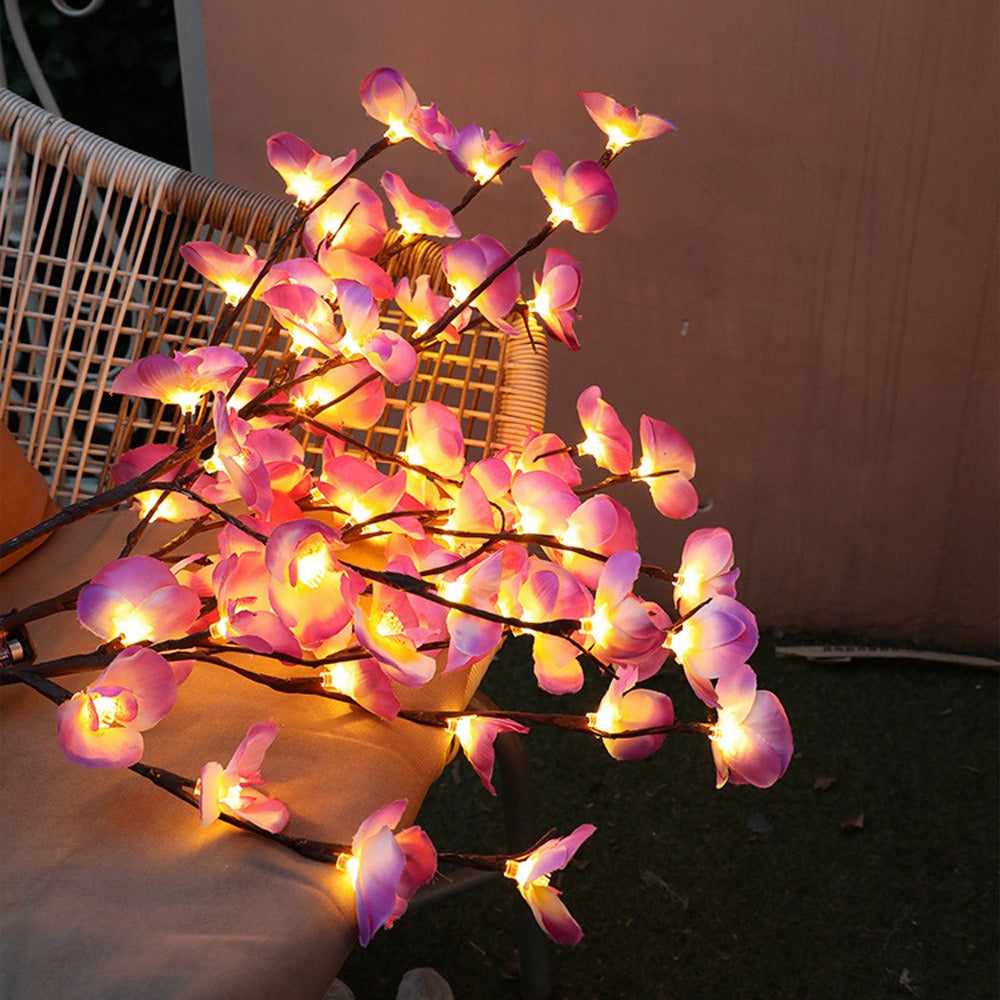 Lisslune | FairyOlive - Enchanted Lamp with Olive Branch