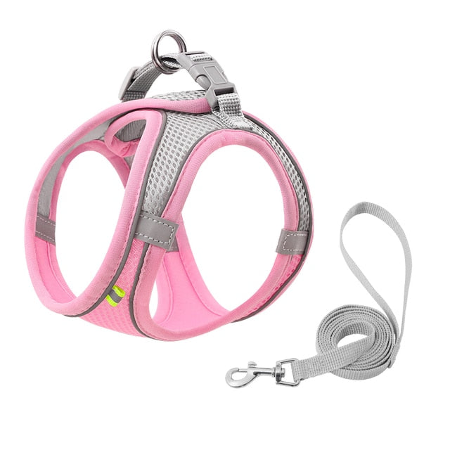 Lisslune | Small pet harness and leash set