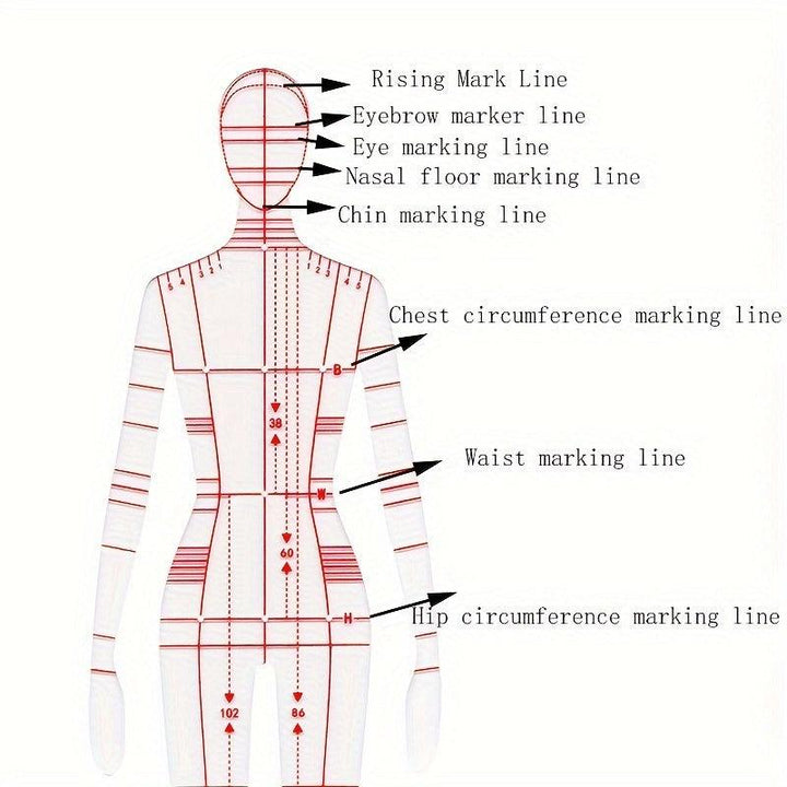 Lisslune | Fashion Designer's Acrylic Sketch Line - Ultimate Guide for Human Figures and Clothing Designs