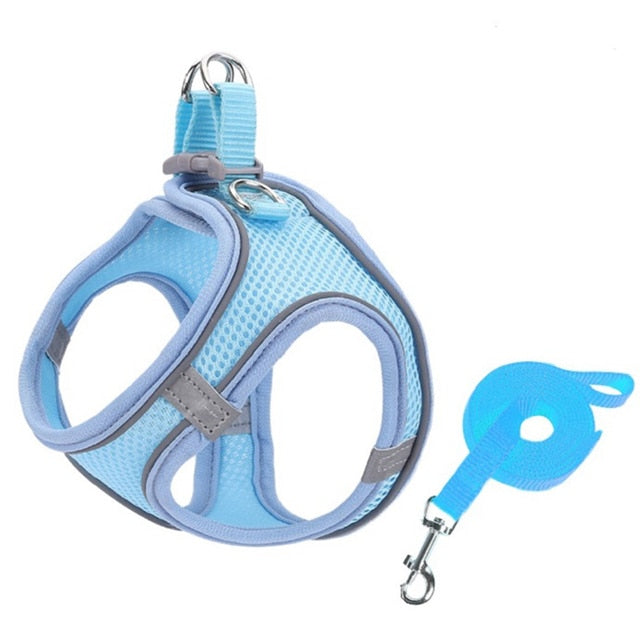 Lisslune | Small pet harness and leash set