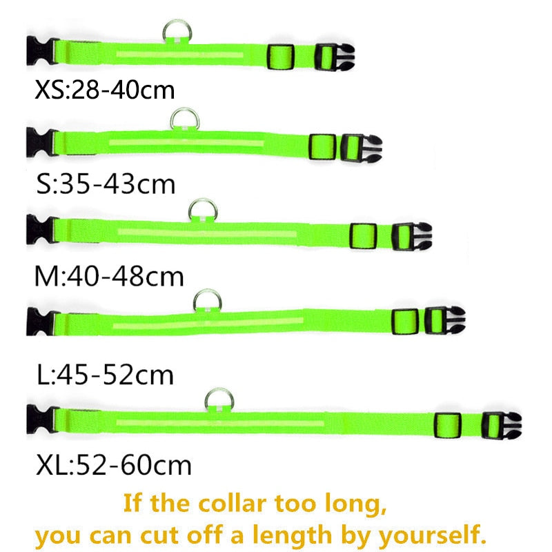 Lisslune | Adjustable LED collar