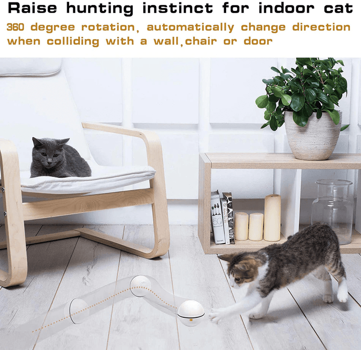 Lisslune | Smart Interactive Pet Ball