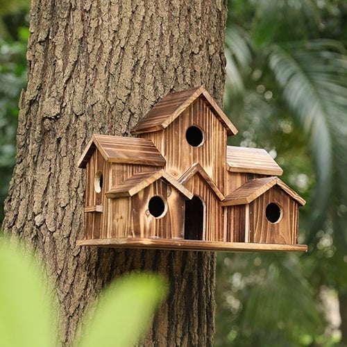 Lisslune | AviaryHaven - Nature Retreat with six entrances