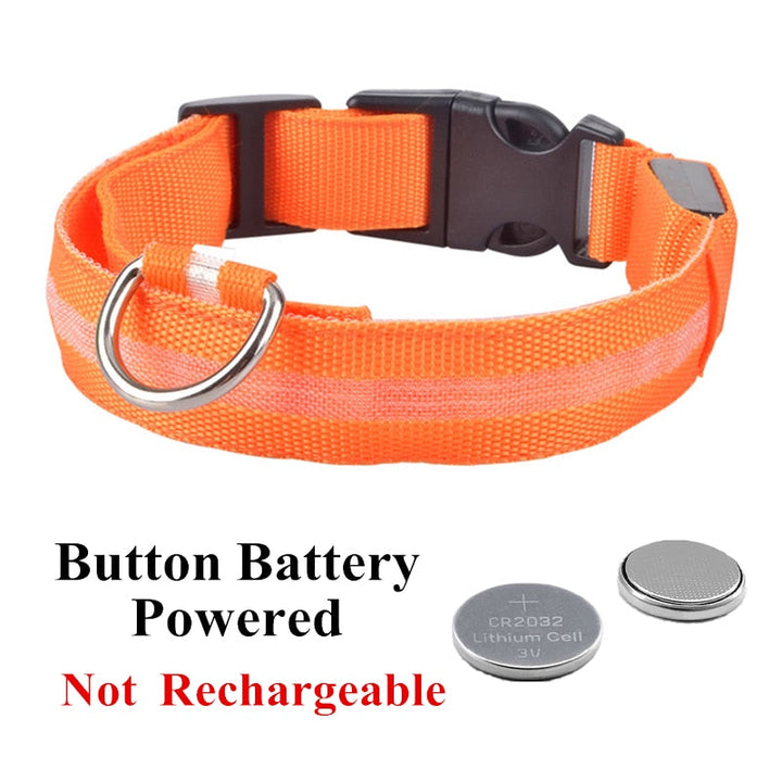 Lisslune | Adjustable LED collar