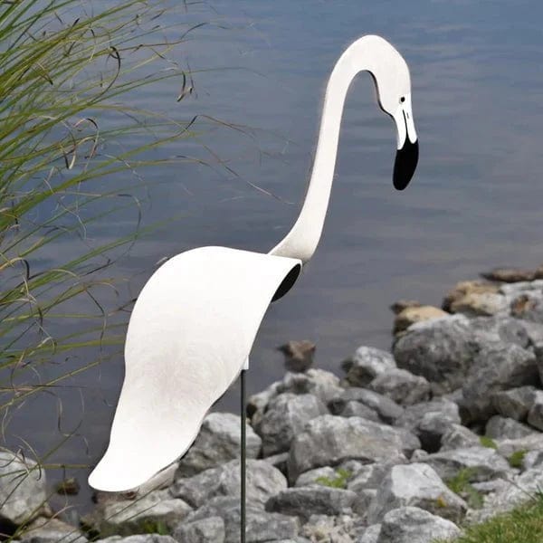 Lisslune | Flamingo Dancing