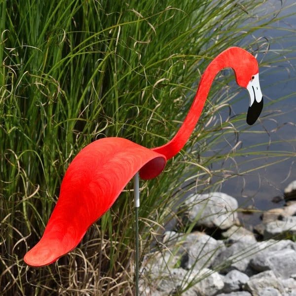 Lisslune | Flamingo Dancing