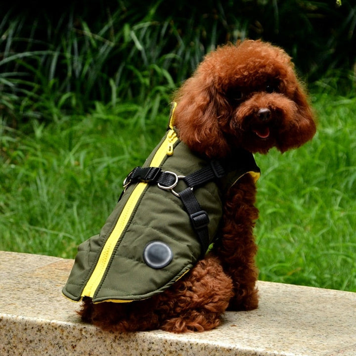 Lisslune | Waterproof pet coat with harness