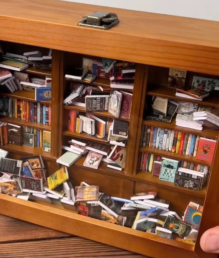 Lisslune | Library for Alleviating Anxiety - Shelf of Serenity